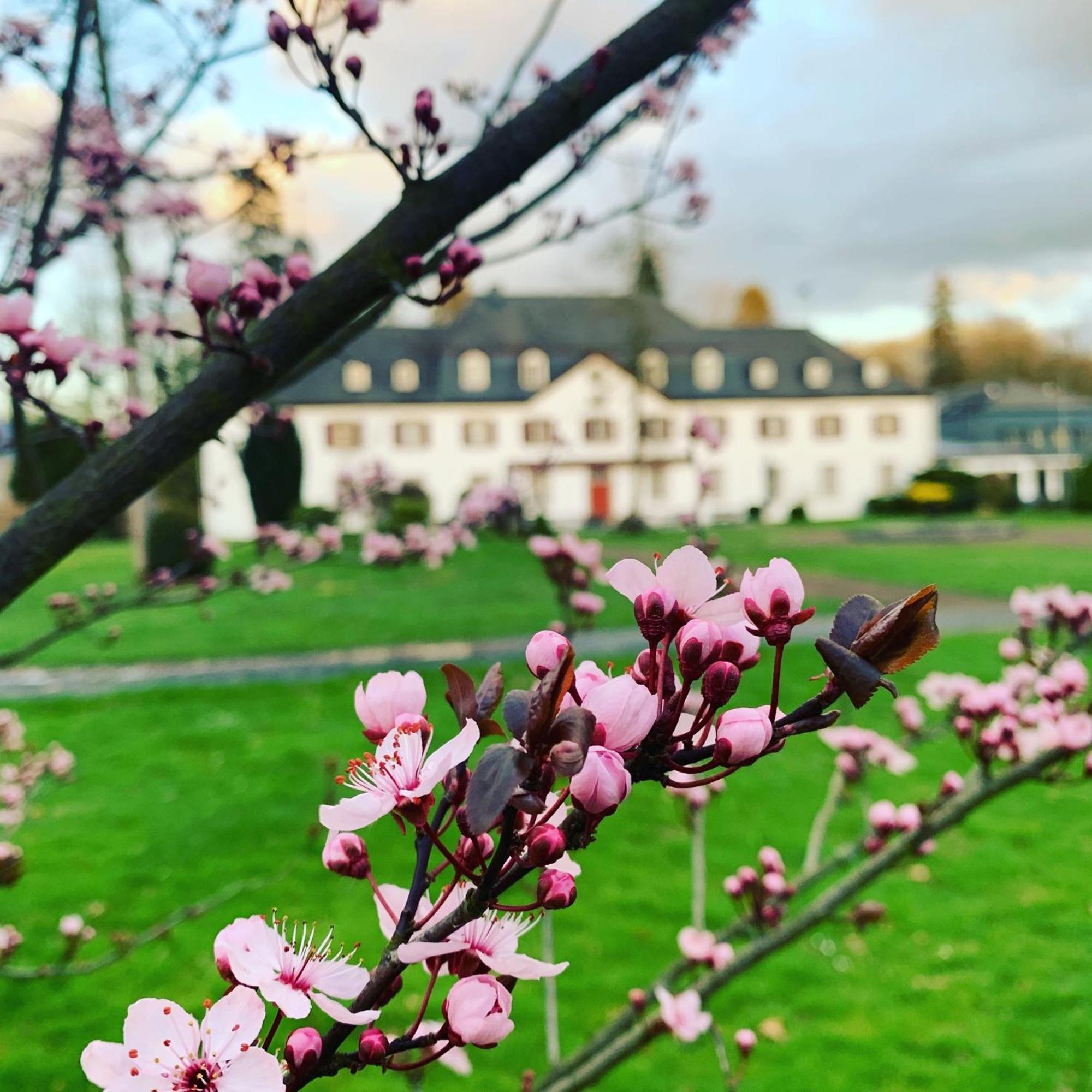 Schloss Auel Boutique Hotel & Design Golf Lodge Lohmar Exterior foto